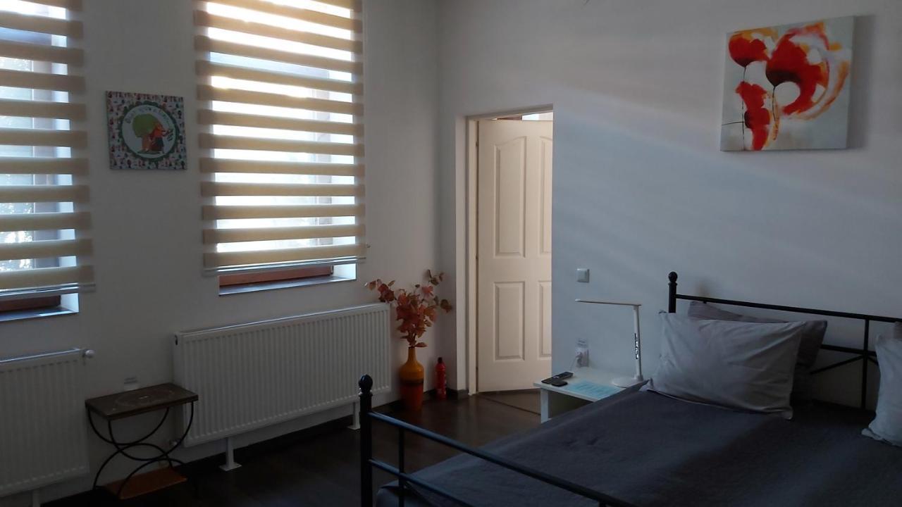 City Center Minimalist Apartment Nagyvárad Kültér fotó